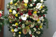 IMG-20160320-WA00011
