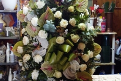 IMG-20160322-WA00021