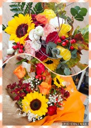 Collage-2021-10-11-17_07_32