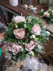 IMG-20190128-WA0104