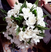 IMG-20190128-WA0204