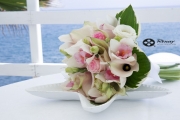 IMG-20190610-WA0088