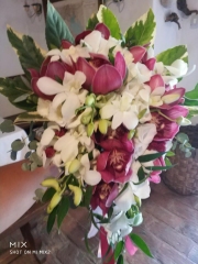 IMG-20190914-WA0037