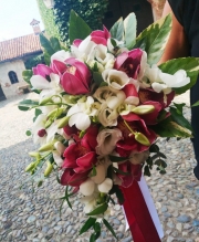 IMG-20191024-WA0085