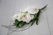 IMG-20200718-WA0048
