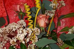 IMG-20200411-WA0010