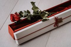 IMG-20210206-WA0112